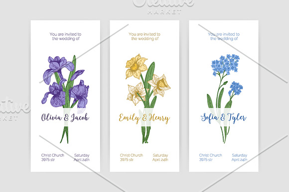Blooming spring flowers in Illustrations - product preview 2