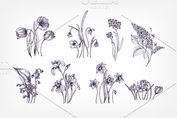 Blooming spring flowers in Illustrations - product preview 7