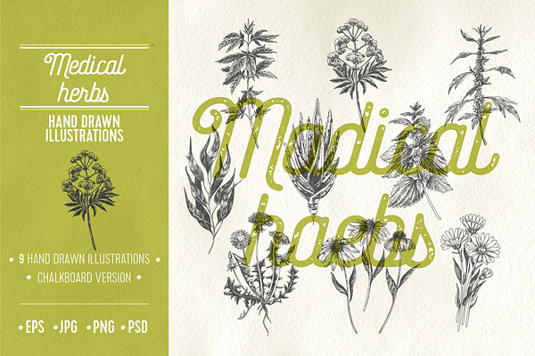 Medical herbs illustrations