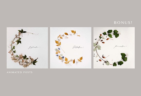 FARMHOUSE LIFE. AUTUMN.  90+ in Instagram Templates - product preview 27