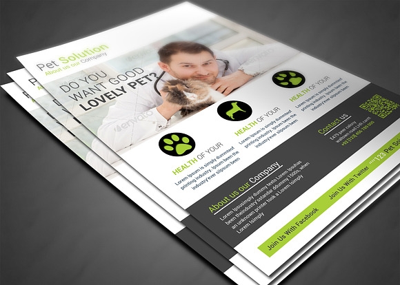 Pet Solution Flyer Template in Flyer Templates - product preview 3