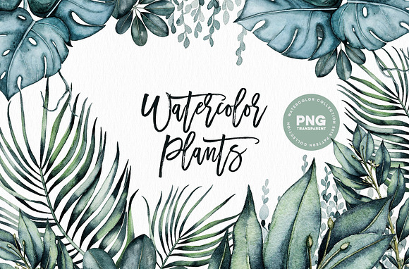 1500 IN 1. Floral Premium Bundle in Illustrations - product preview 15
