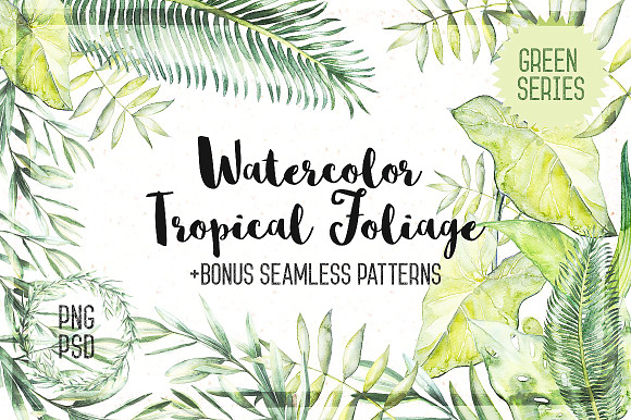 1500 IN 1. Floral Premium Bundle in Illustrations - product preview 19