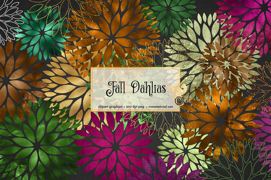 Fall Dahlia Clipart in Illustrations - product preview 8