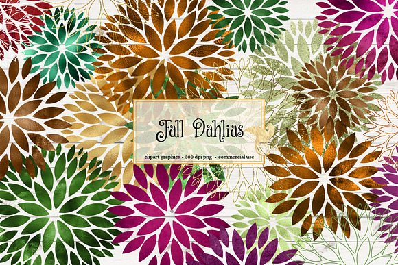 Fall Dahlia Clipart in Illustrations - product preview 1