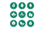 Green leaf round icons set