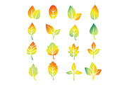 Colorful gradient leaf silhouettes