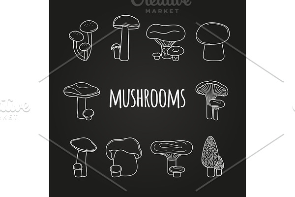 White line mushrooms on blackboard