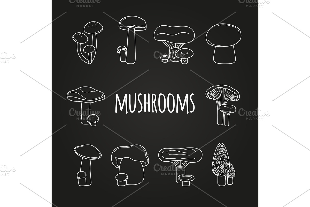 White line mushrooms on blackboard in Illustrations - product preview 8