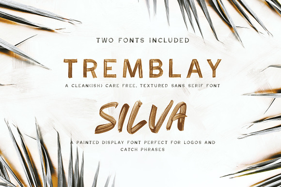 Stay Gold SVG Font Duo in Roman Fonts - product preview 2