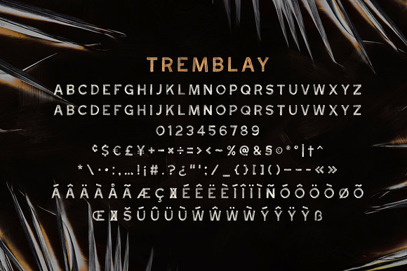 Stay Gold SVG Font Duo in Roman Fonts - product preview 7