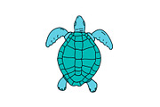 Sea Turtle Swimming Drawing