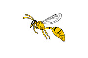 Wasp Flying Drawing