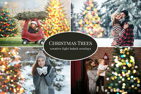 Christmas Trees photo overlays