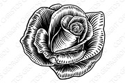 Rose Flower Woodcut Etching Style