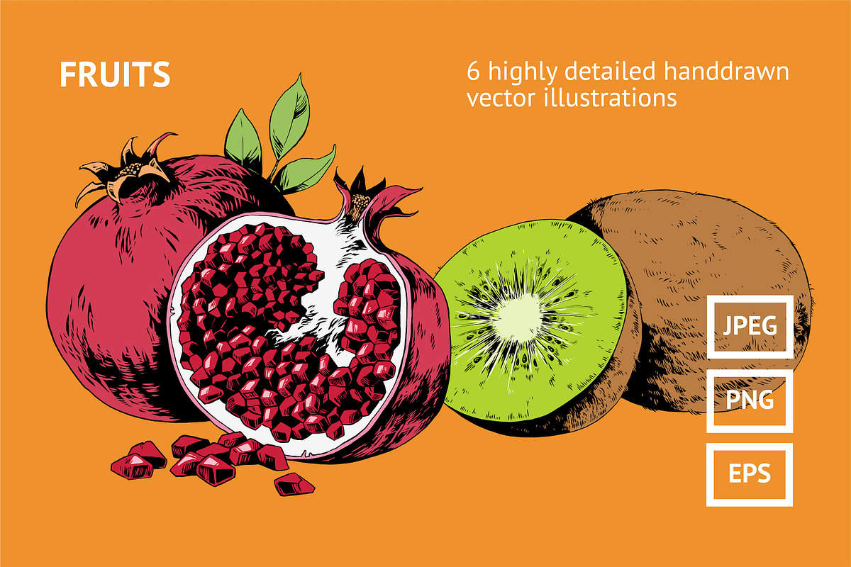 Fruits in Illustrations - product preview 8