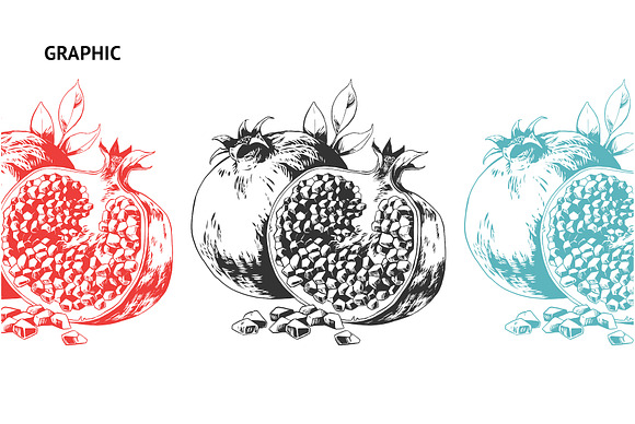 Fruits in Illustrations - product preview 2