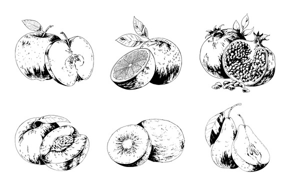 Fruits in Illustrations - product preview 4