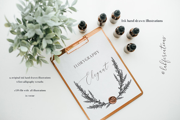 Elegant. Ink Calligraphy wreaths in Illustrations - product preview 5