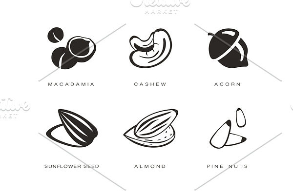 Nuts and seeds icons set, macadamia