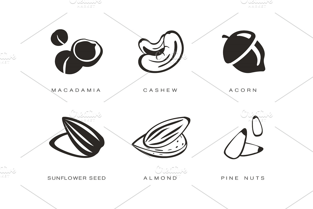 Nuts and seeds icons set, macadamia in Illustrations - product preview 8