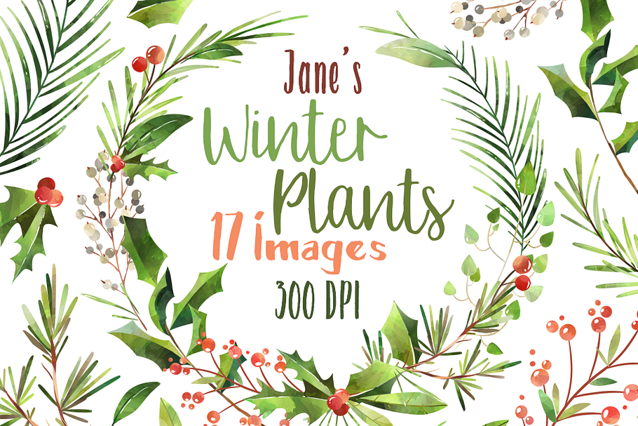 Watercolor Winter Plants Clipart