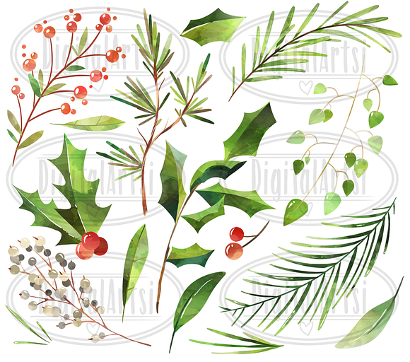 Watercolor Winter Plants Clipart in Illustrations - product preview 1