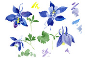 Flowers set PNG watercolor