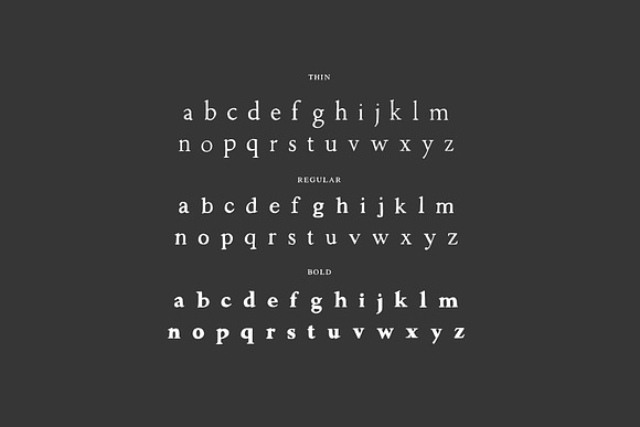 Walker: a Handlettered Serif in Serif Fonts - product preview 3