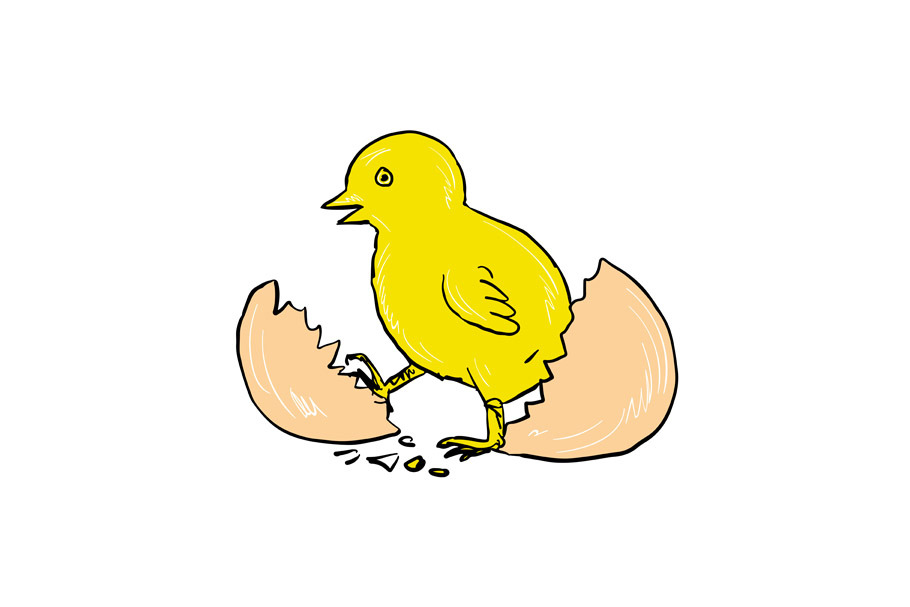 Chick Hatching Inside Egg Drawing