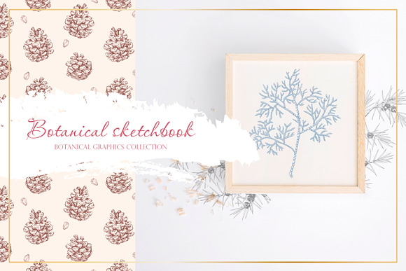 Botanical sketchbook. Vol.1 in Objects - product preview 12