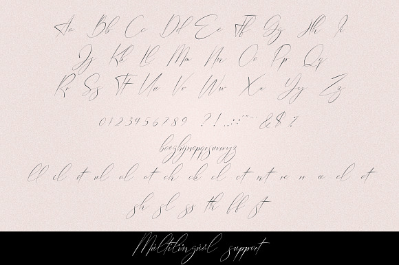 Belinda Script - Regular and Italic in Italic Fonts - product preview 10