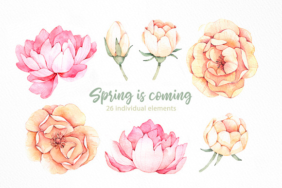 Spring is coming. Watercolor flowers in Illustrations - product preview 3