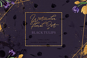 Wonderful black tulips PNG set