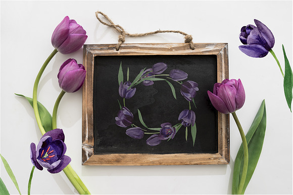 Wonderful black tulips PNG set in Illustrations - product preview 1