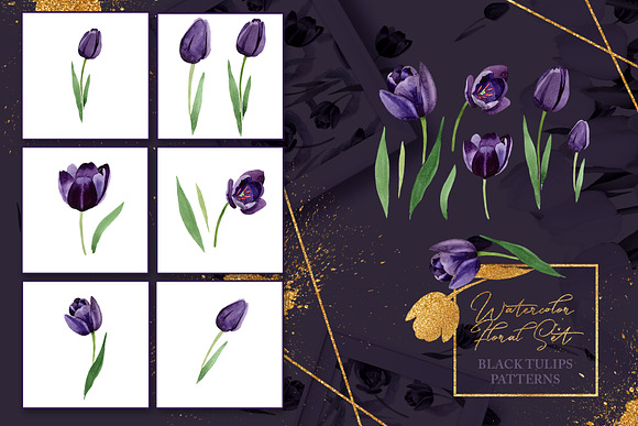 Wonderful black tulips PNG set in Illustrations - product preview 2