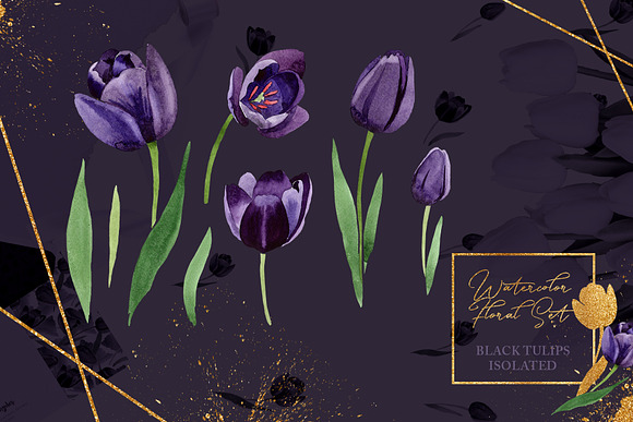 Wonderful black tulips PNG set in Illustrations - product preview 3