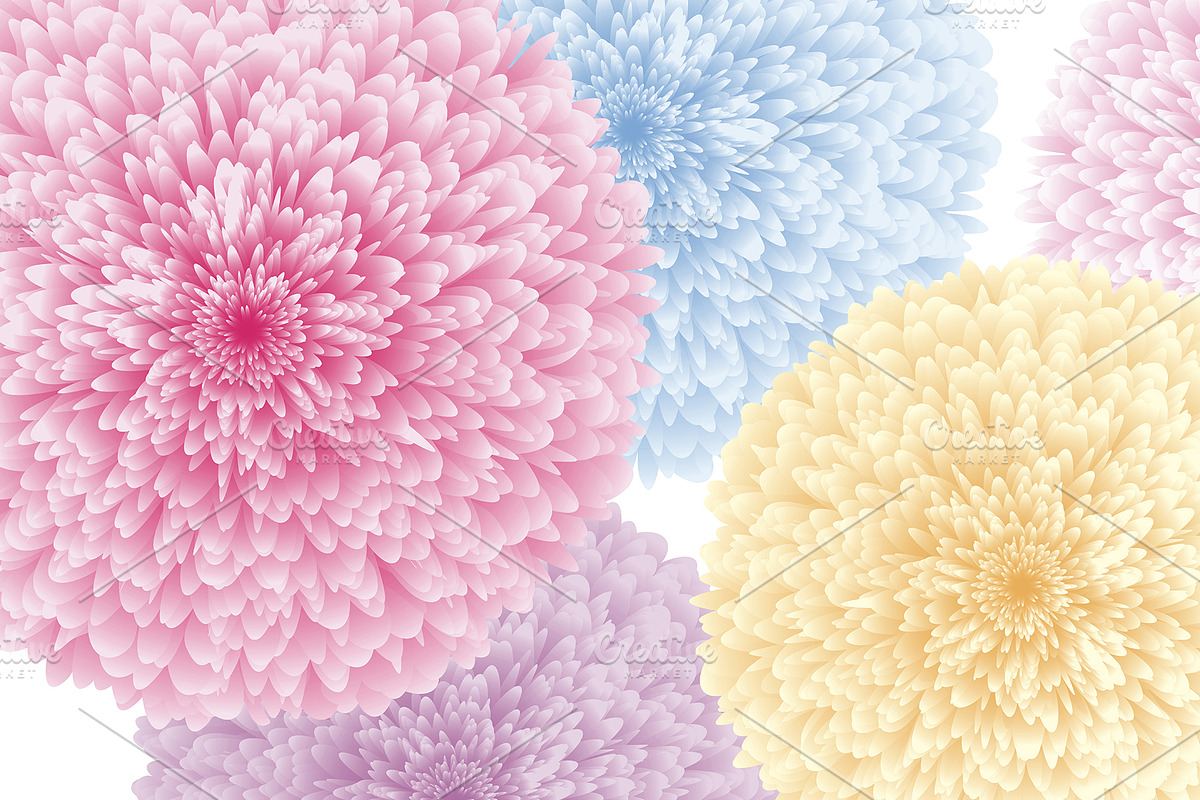 Colorful flowers on white background in Illustrations - product preview 8