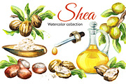 Shea. Watercolor collection