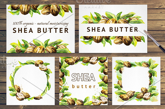 Shea. Watercolor collection in Illustrations - product preview 6