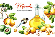 Marula. Watercolor collection