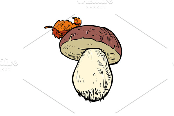 White mushroom boletus