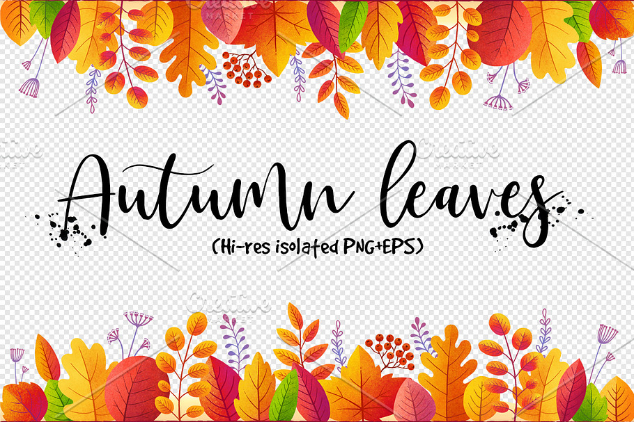 Textured autumn leaves (PNG+EPS) in Objects - product preview 8