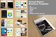 Annual Report / Brochure-V134