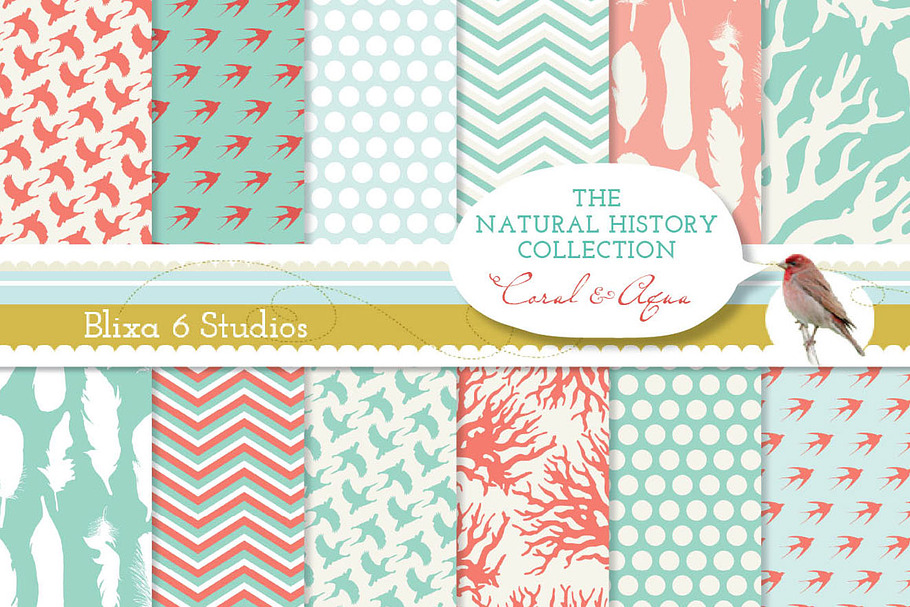 Natural History Coral 12" Pages