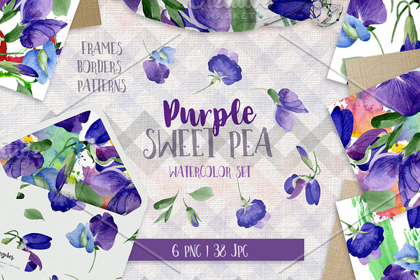 Purple sweet pea PNG watercolor set