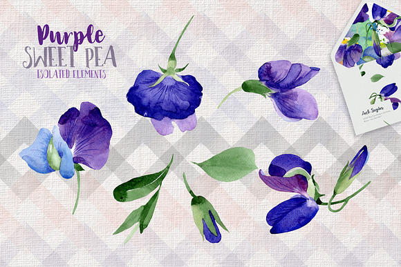 Purple sweet pea PNG watercolor set in Illustrations - product preview 4