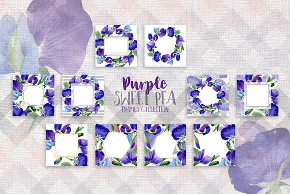 Purple sweet pea PNG watercolor set in Illustrations - product preview 5