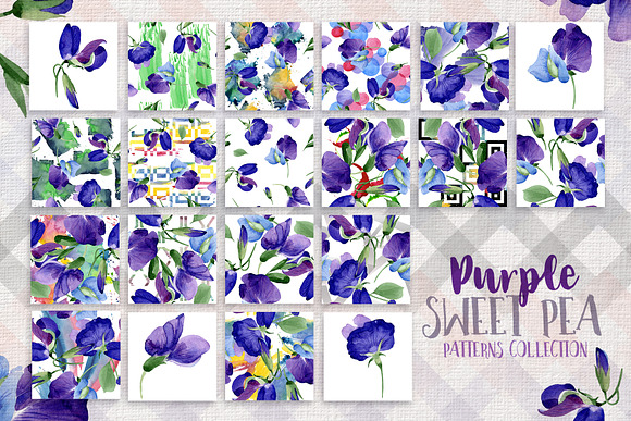 Purple sweet pea PNG watercolor set in Illustrations - product preview 6