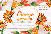 Cool orange gazania PNG watercolor